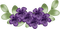 fleurs ( - безплатен png анимиран GIF