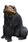 gorilla frog - nemokama png animuotas GIF