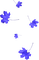 Leaves.Blue - 免费PNG 动画 GIF