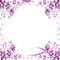 frame cadre rahmen purple fleur flower spring printemps
