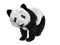 Kaz_Creations Panda Pandas - ingyenes png animált GIF