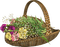 Bloemen en Planten - zadarmo png animovaný GIF