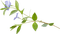 dolceluna scrap flower - Free PNG Animated GIF