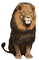 Lion - zadarmo png animovaný GIF