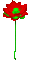 Animated.Lotus.Flower.Red - By KittyKatLuv65 - GIF animé gratuit GIF animé