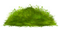 gräs---grass - ücretsiz png animasyonlu GIF