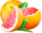 soave deco orange summer fruit citrus  orange