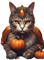 halloween, witch, animal,  herbst, autumn - darmowe png animowany gif