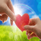 heart in hands coeur mains - бесплатно png анимированный гифка