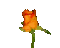 Rose gifs - Darmowy animowany GIF animowany gif