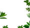 leaf_frame Bb2 - bezmaksas png animēts GIF