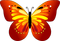 All  my butterflys - ilmainen png animoitu GIF