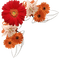 corner coin, flowers red orange - Nemokamas animacinis gif