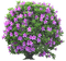 tree katrin - PNG gratuit GIF animé