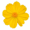 fleur jaune - ilmainen png animoitu GIF