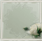 minou-frame-white-rose - δωρεάν png κινούμενο GIF