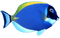 Kaz_Creations Fish - png gratuito GIF animata