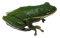frog - png gratuito GIF animata