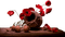 coquelicot.Cheyenne63 - Free PNG Animated GIF