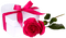 Heart.Box.Rose.Pink.White - gratis png animerad GIF