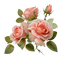 flowers, rose - PNG gratuit GIF animé