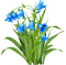 Glockenblumen - Free PNG Animated GIF