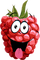 FRUTTA - Free PNG Animated GIF