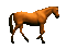cheval - GIF animate gratis GIF animata
