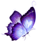 voilet butterfly - gratis png animerad GIF