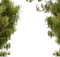 tree - безплатен png анимиран GIF