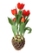 Blumenvase - Free PNG Animated GIF