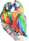 soave deco summer bird branch tropical parrot - zadarmo png animovaný GIF