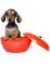 dog - ingyenes png animált GIF