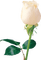 Kaz_Creations Deco Flowers Roses Flower - kostenlos png Animiertes GIF