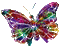 rainbow butterfly - Ingyenes animált GIF animált GIF