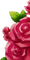 ✶ Roses {by Merishy} ✶ - gratis png geanimeerde GIF