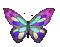 butterfly COLORFUL gif papillon coleurs - GIF animado grátis Gif Animado