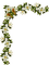 deco frame corner flowers kikkapink vintage - Free PNG Animated GIF