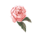 deco rose vintage spring pink flower - Free PNG Animated GIF