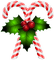 candy cane Bb2 - gratis png geanimeerde GIF