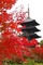 japoński widok - Free PNG Animated GIF