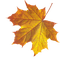 autumn Bb2 - 免费PNG 动画 GIF