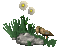 duck foraging in flowers - Bezmaksas animēts GIF animēts GIF