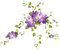 Flores colgantes