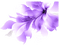 Flower, Flowers, Purple 2, Deco, Decoration - Jitter.Bug.Girl - png gratis GIF animado