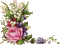 Kaz_Creations Deco Flowers Flower Colours - Nemokamas animacinis gif animuotas GIF