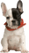Kaz_Creations Animals Dog Pup - nemokama png animuotas GIF