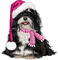 Kaz_Creations Dogs Dog Pup 🐶 Christmas - kostenlos png Animiertes GIF