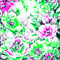green pink milla1959 - GIF เคลื่อนไหวฟรี GIF แบบเคลื่อนไหว