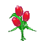 tulips&heart - GIF animado grátis Gif Animado
